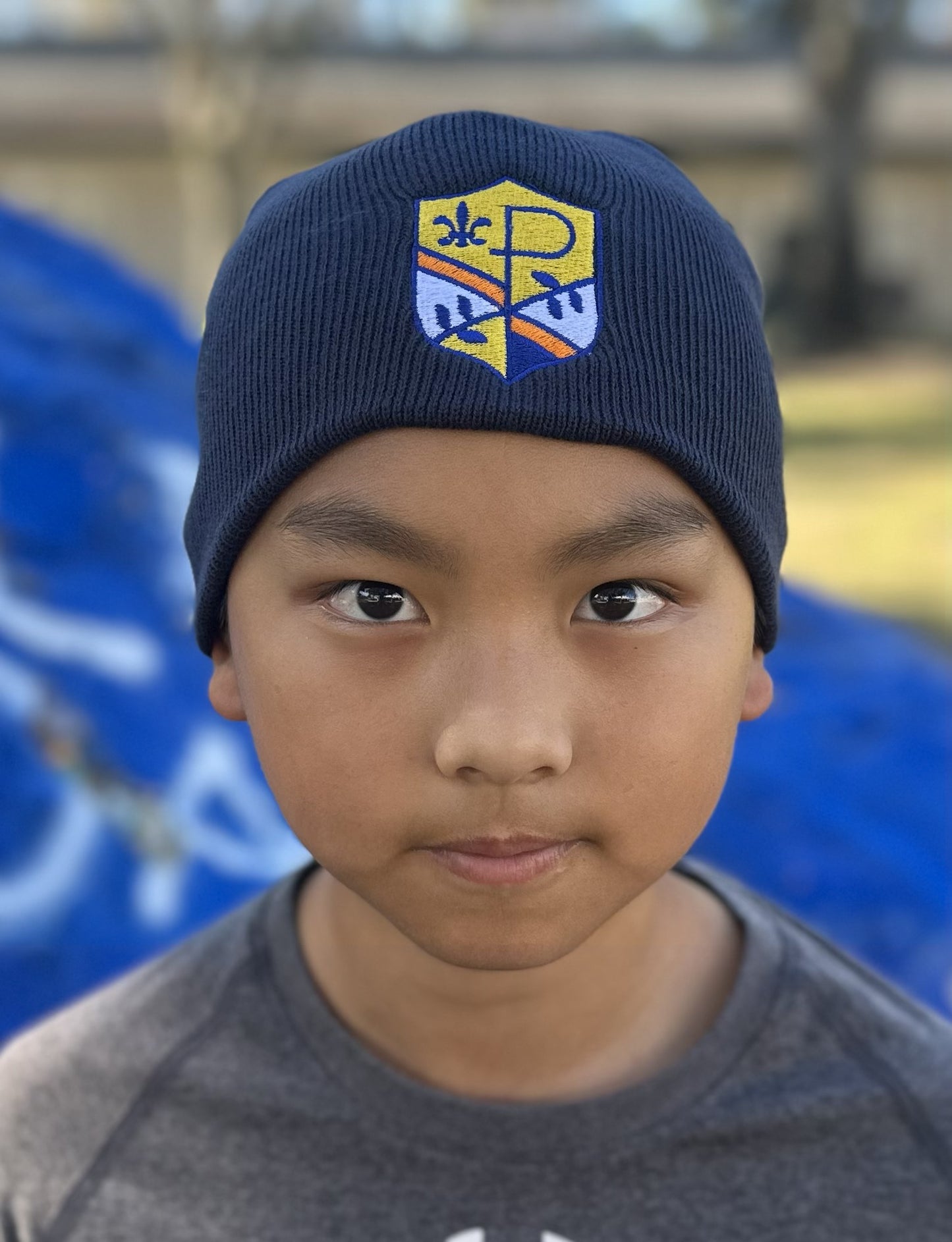 Beanie (Embroidered Crest)