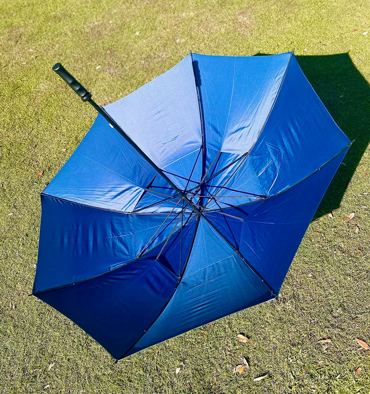 Umbrella