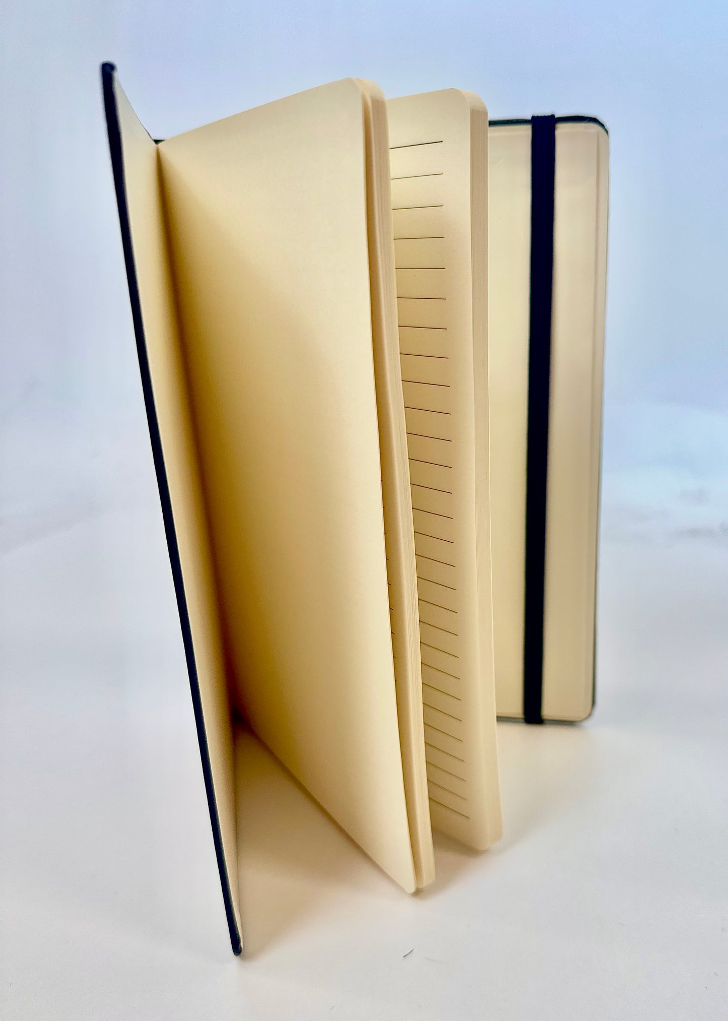 Journal